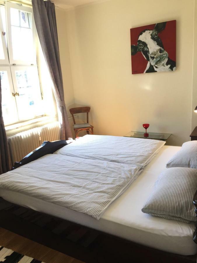Trash De Luxe Apartment